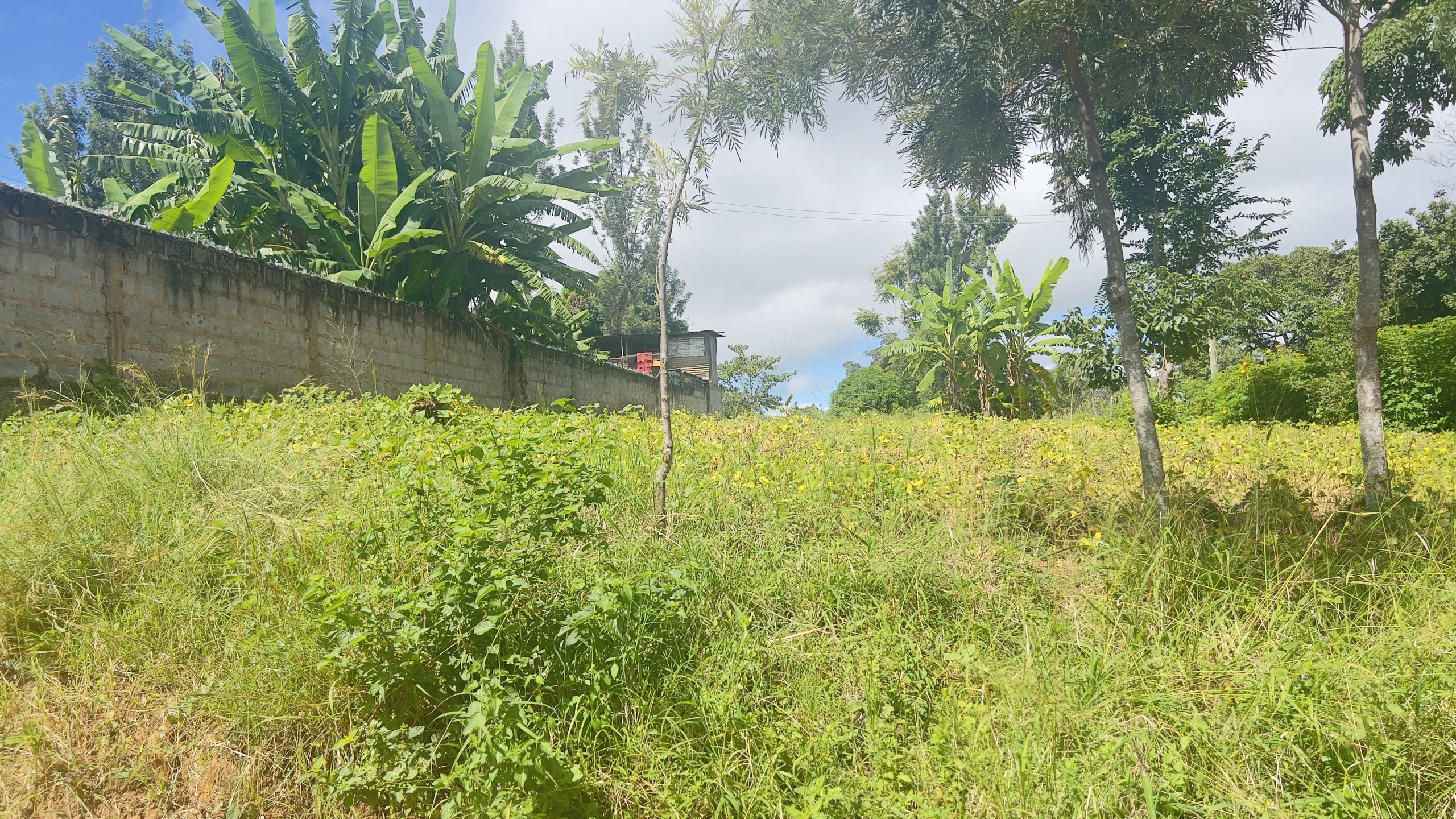 🌟 Prime Plot in Siakago Area, Mbeere, Embu cOUNTY