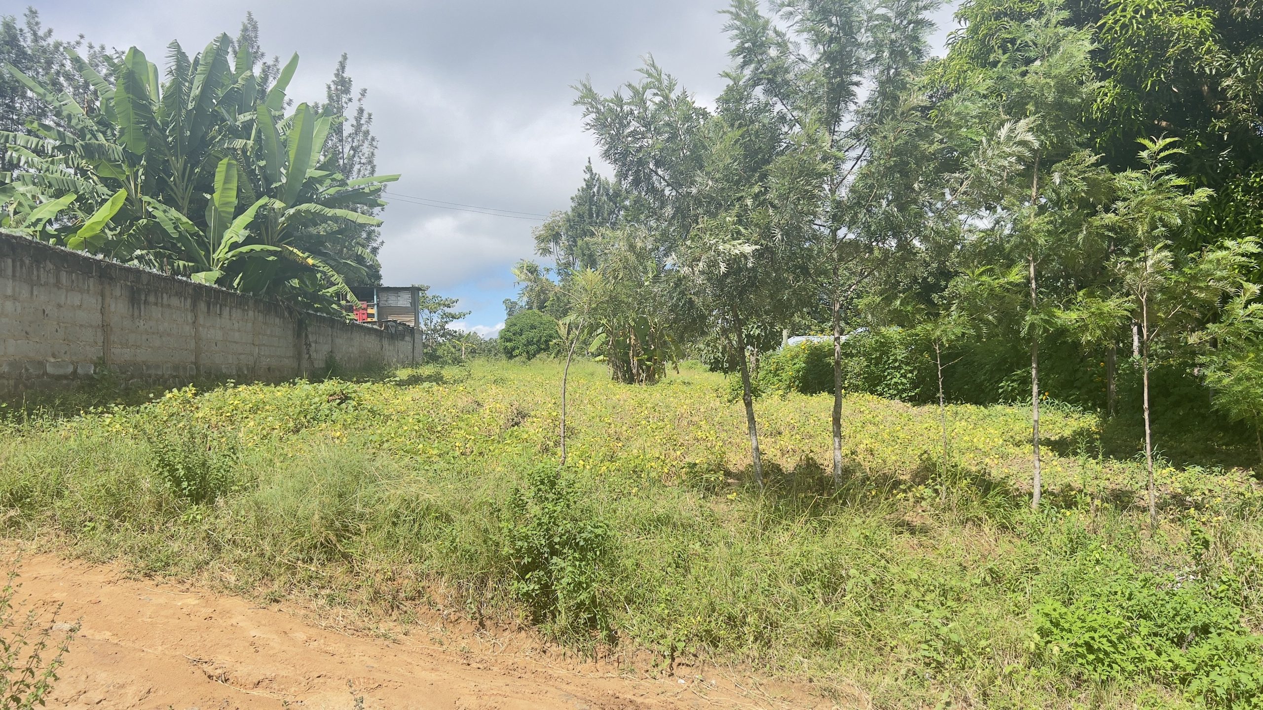🌟 Prime Plot in Siakago Area, Mbeere, Embu cOUNTY