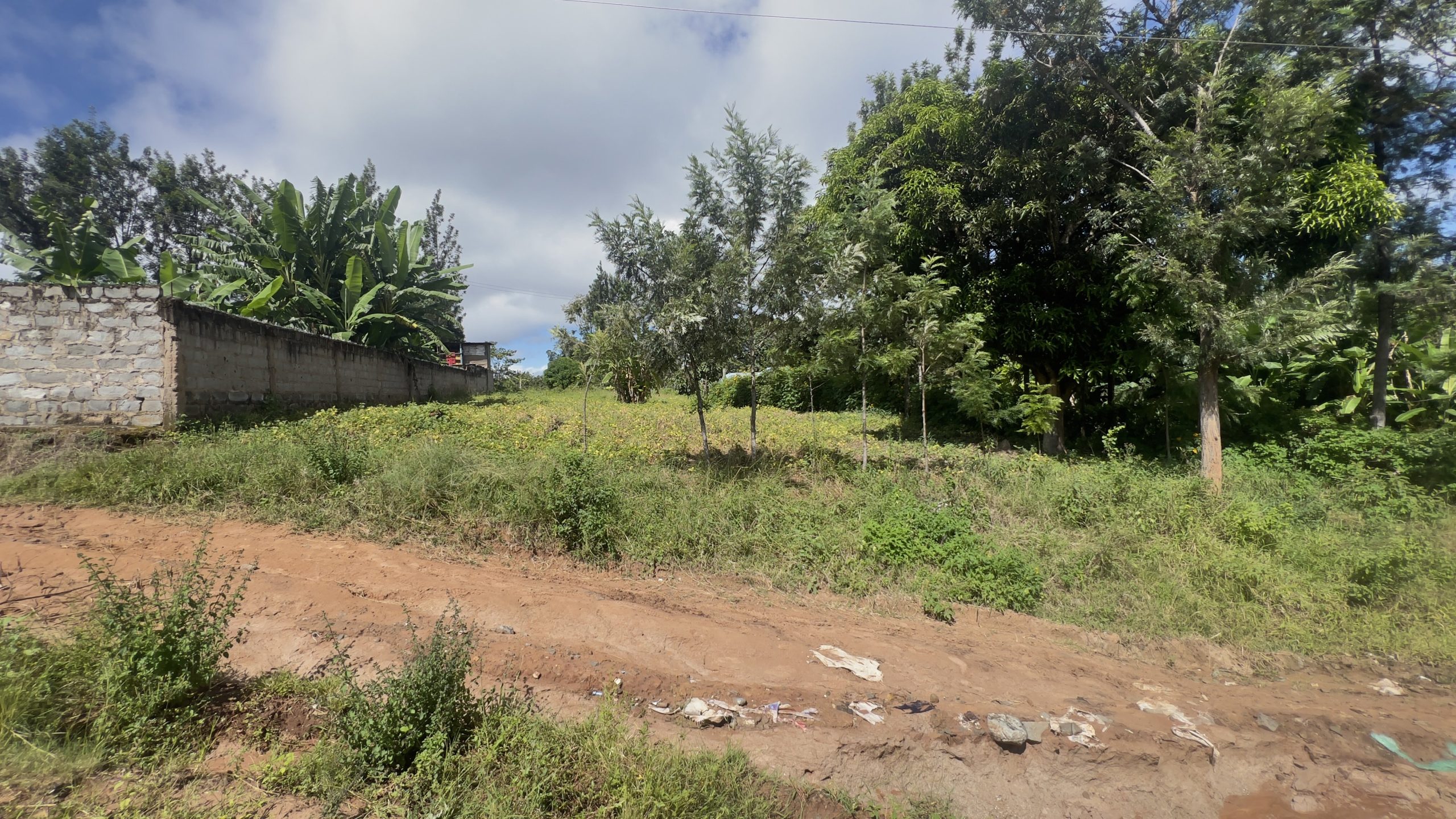 🌟 Prime Plot in Siakago Area, Mbeere, Embu cOUNTY